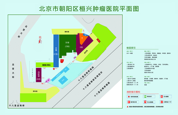 啊啊骚逼不要视频免费北京市朝阳区桓兴肿瘤医院平面图